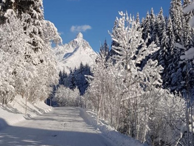 Winterwanderweg in Filzmoos